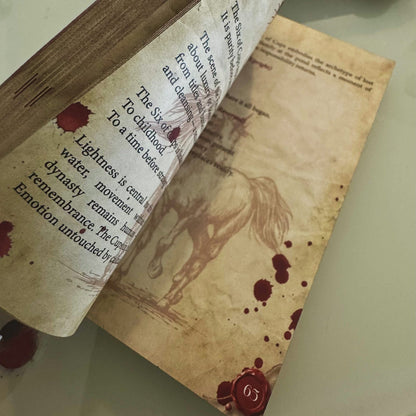 Close-up of a book with text and illustrations on a plain background